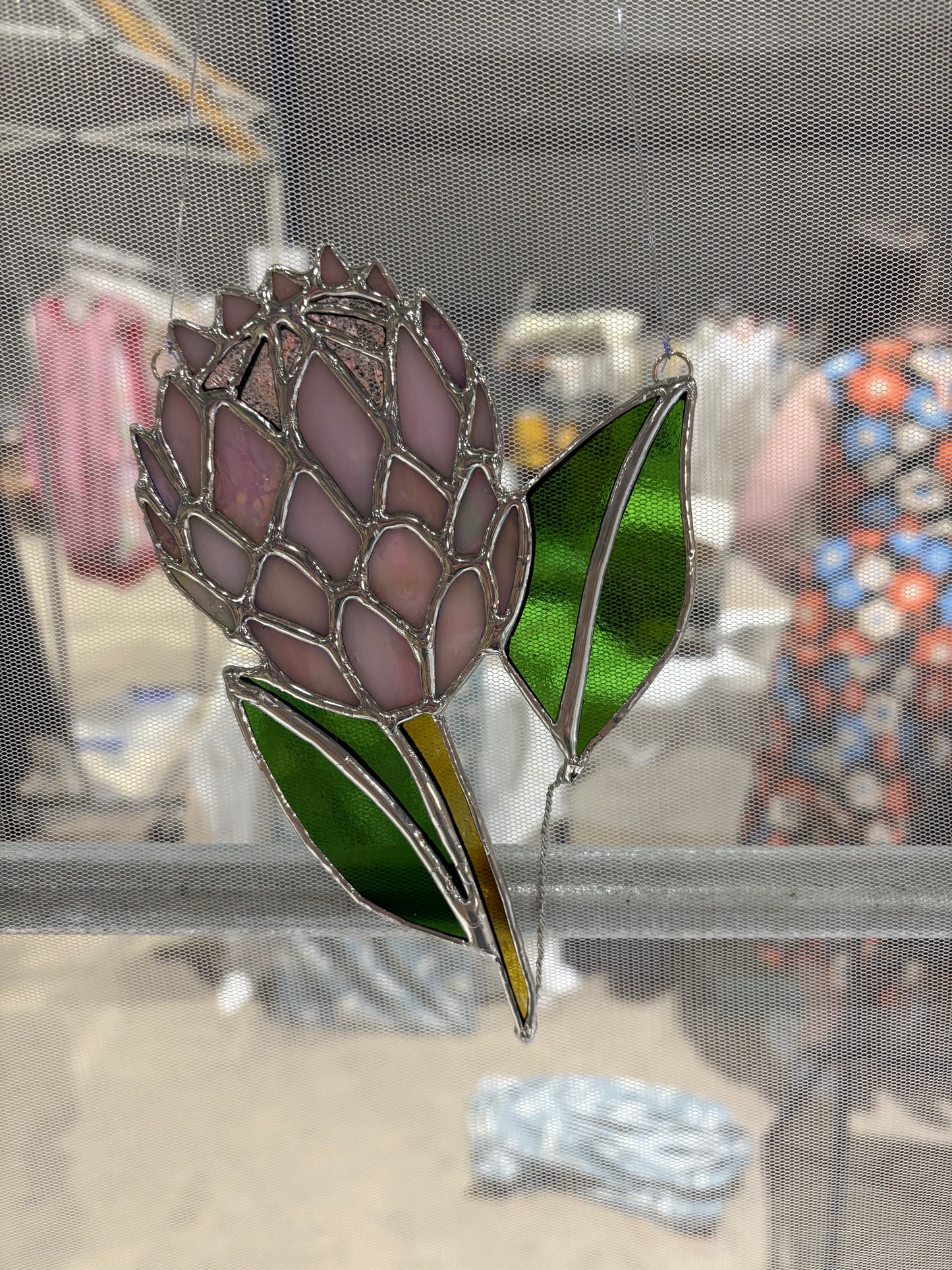 Protea Flower
