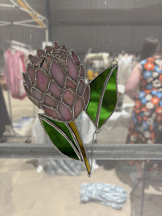 Protea Flower
