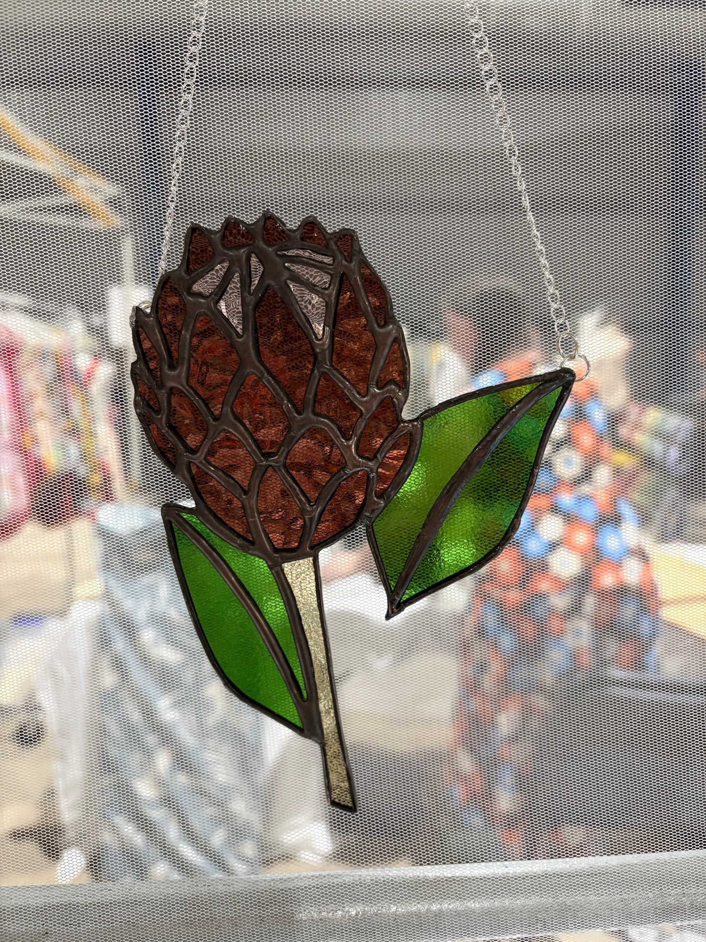 Protea Flower